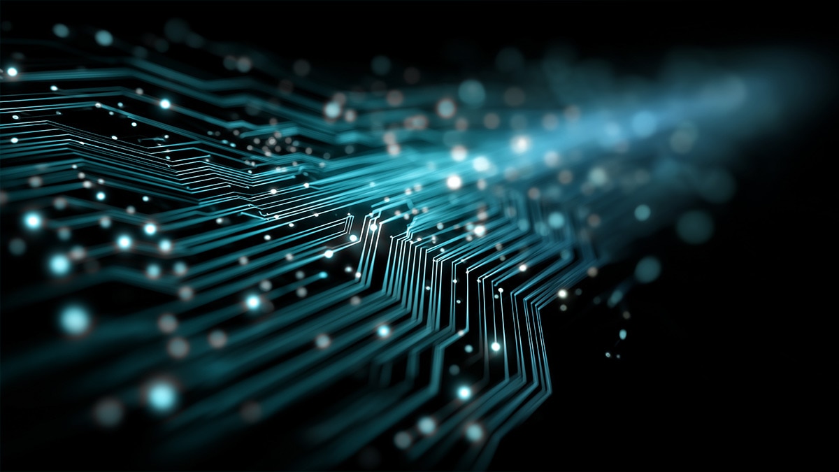 Dynamic visualization of a network