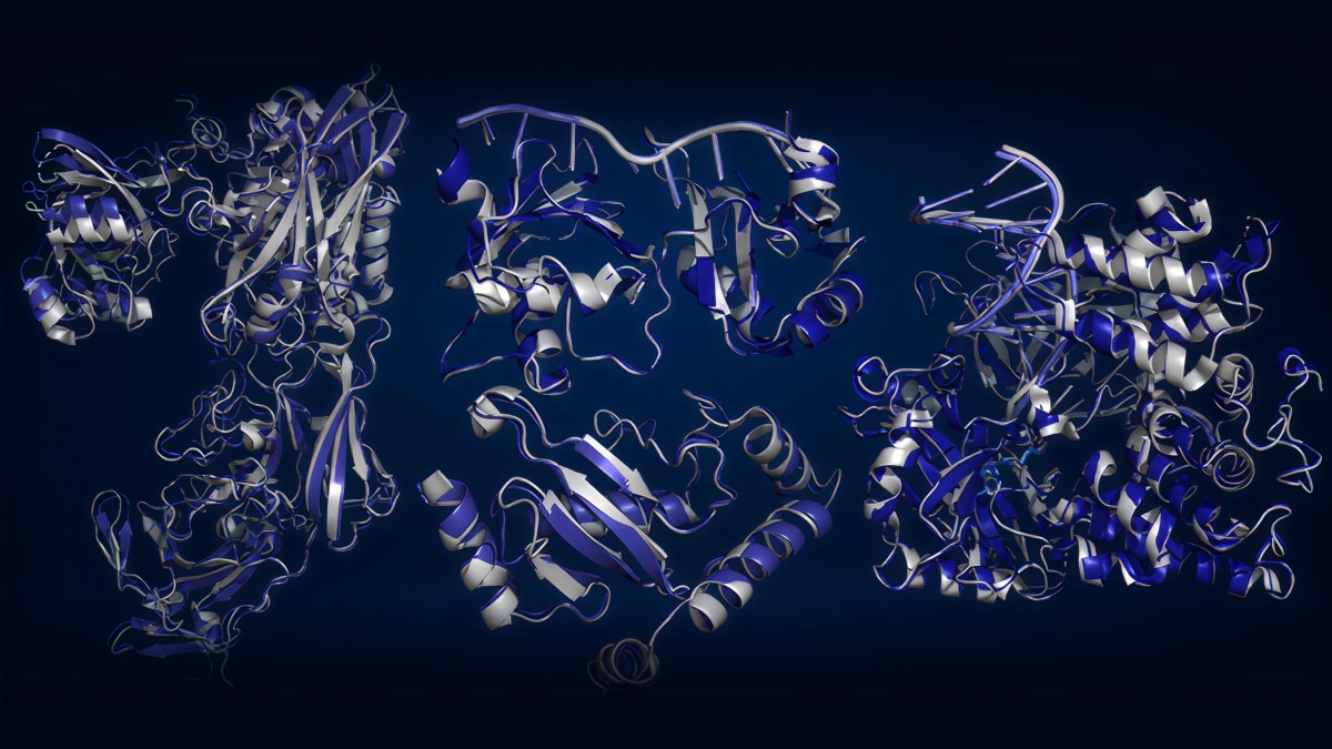OpenFold3 Meets AMD Instinct™ GPUs: Unlocking Scalable, High-Throughput Structural Biology