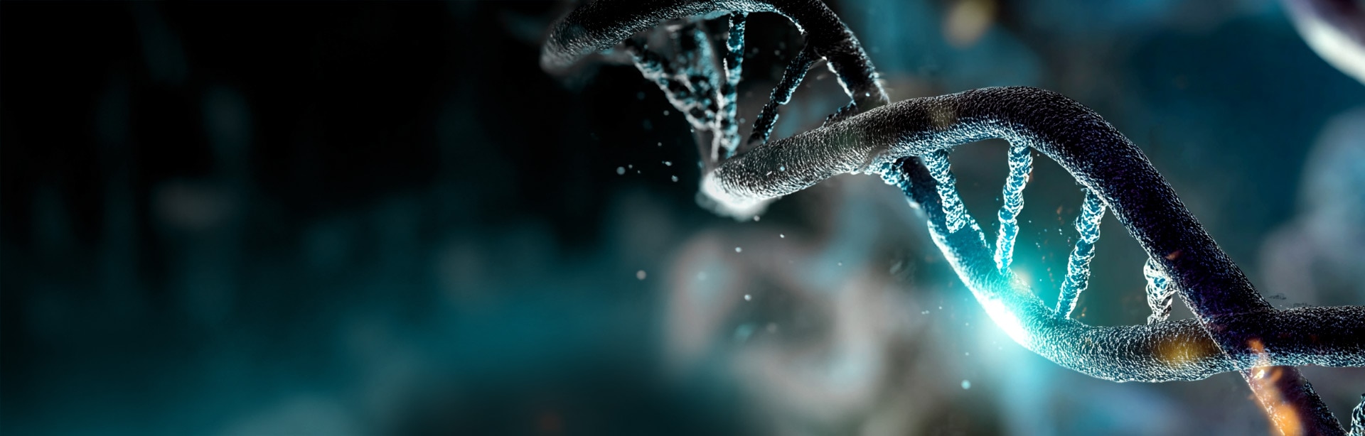 Dayhoff Health and AMD Accelerate Genomic Analysis by up to 330x