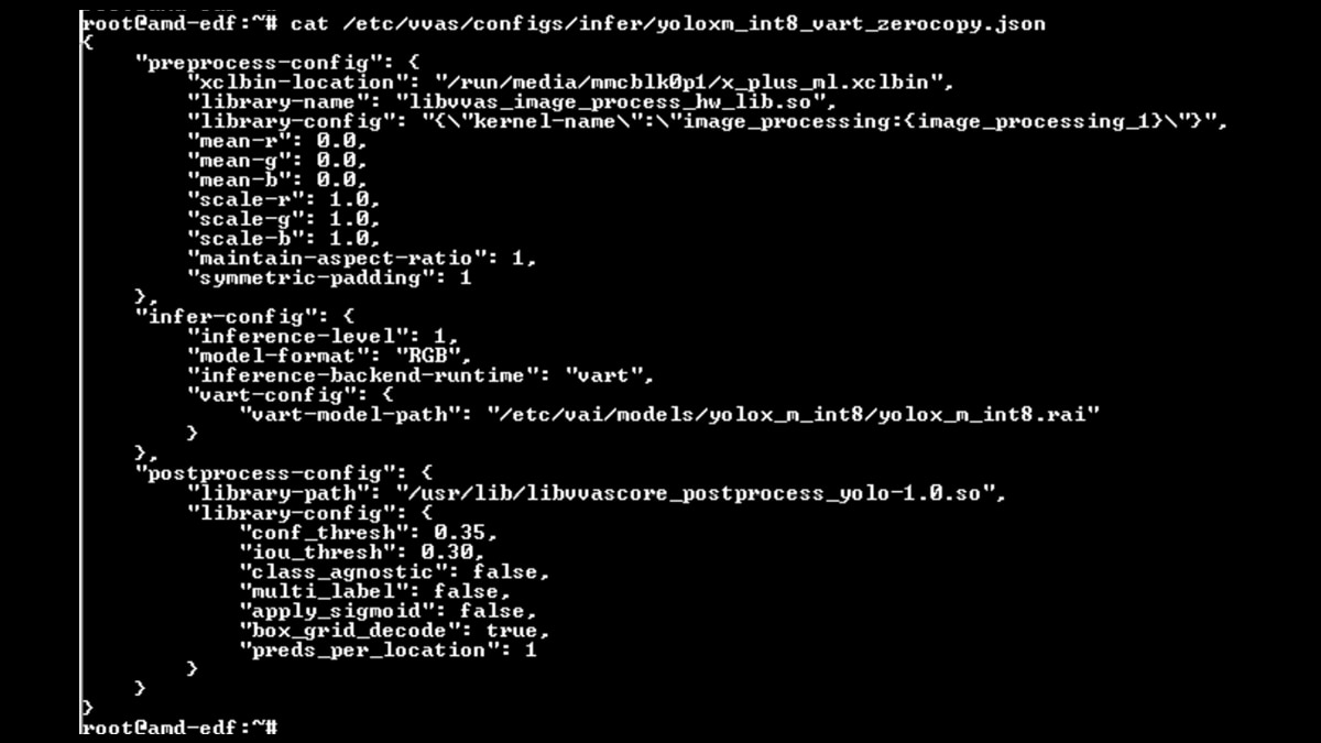 Inference JSON
