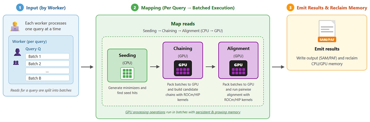 Workflow diagram showing read mapping: Input by Worker, Seeding (CPU), Chaining (GPU), Alignment (GPU), and Emit Results (SAM/PAF), with ROCm/HIP GPU batching and memory reuse.