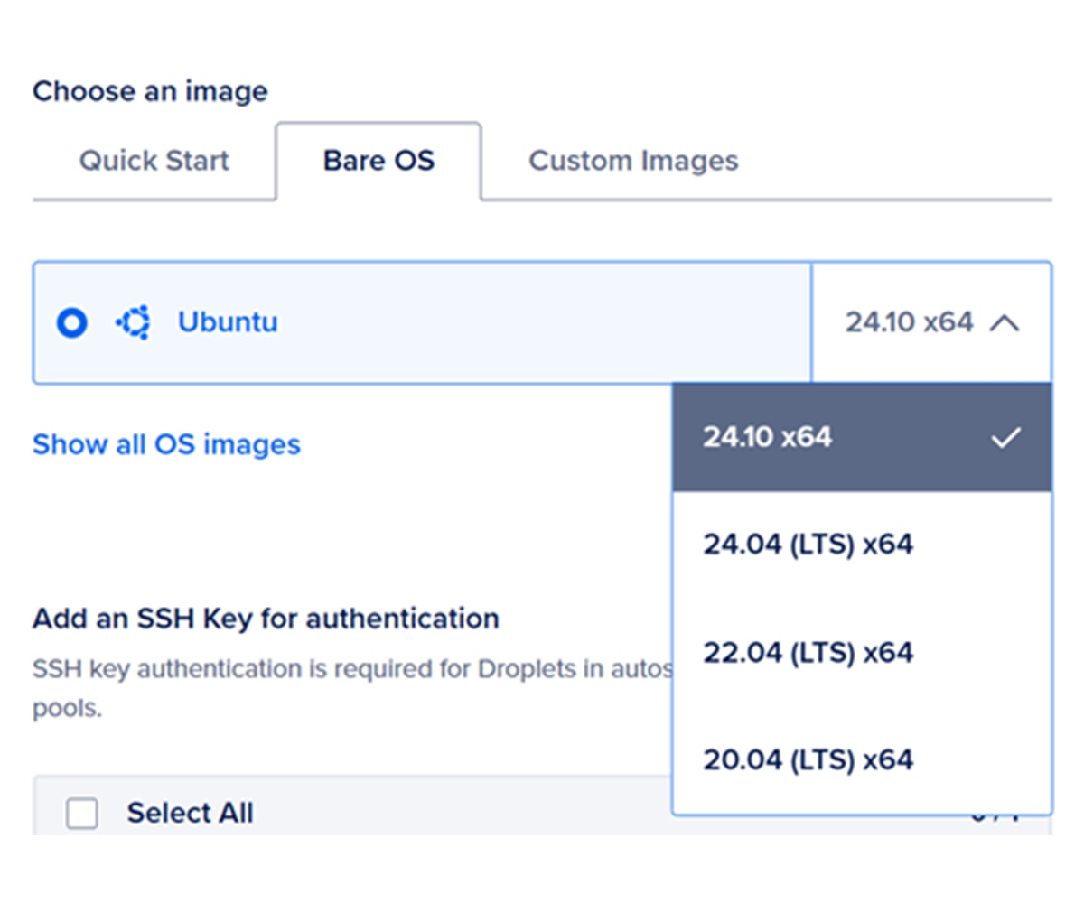Figure 2: Bare OS Image Option