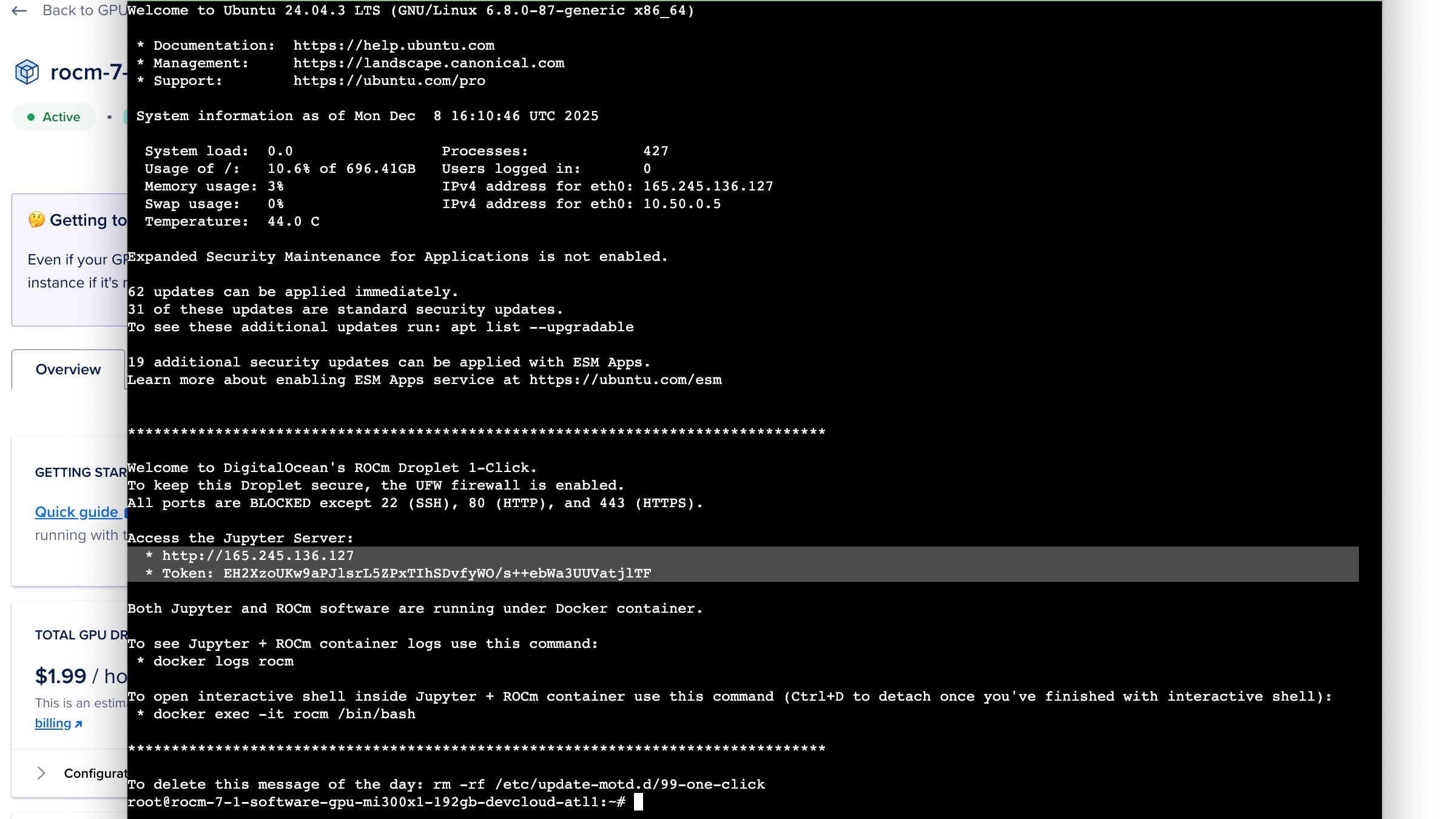 Figure 9: Information displayed upon accessing the Droplet’s Terminal