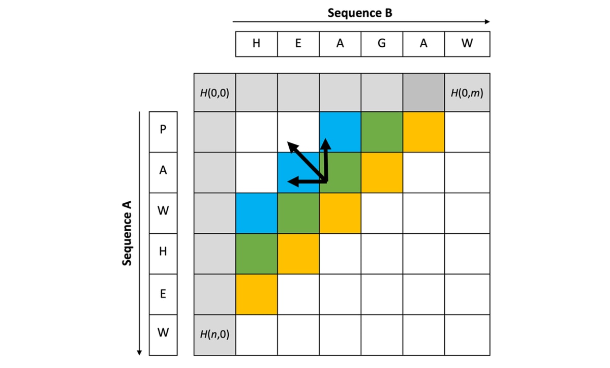 Sequence alignment matrix for HEAGAW and PAWHEW with blue, green, and yellow cells showing directional paths.