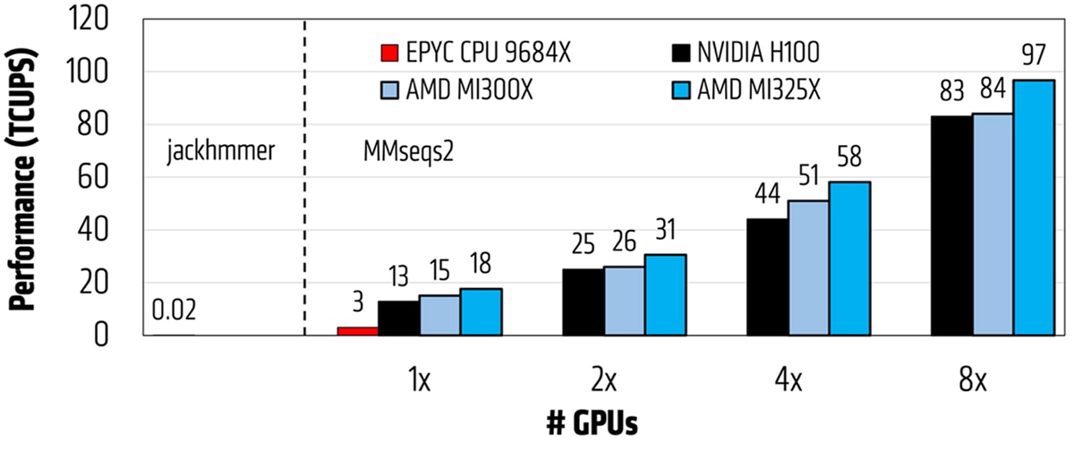 Bar chart comparing MMseqs2 performance: AMD MI325X leads at 18, 31, 58, and 97 TCUPS from 1 to 8 GPUs.