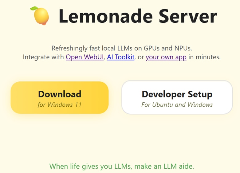 Screenshot from Lemonade Server Website