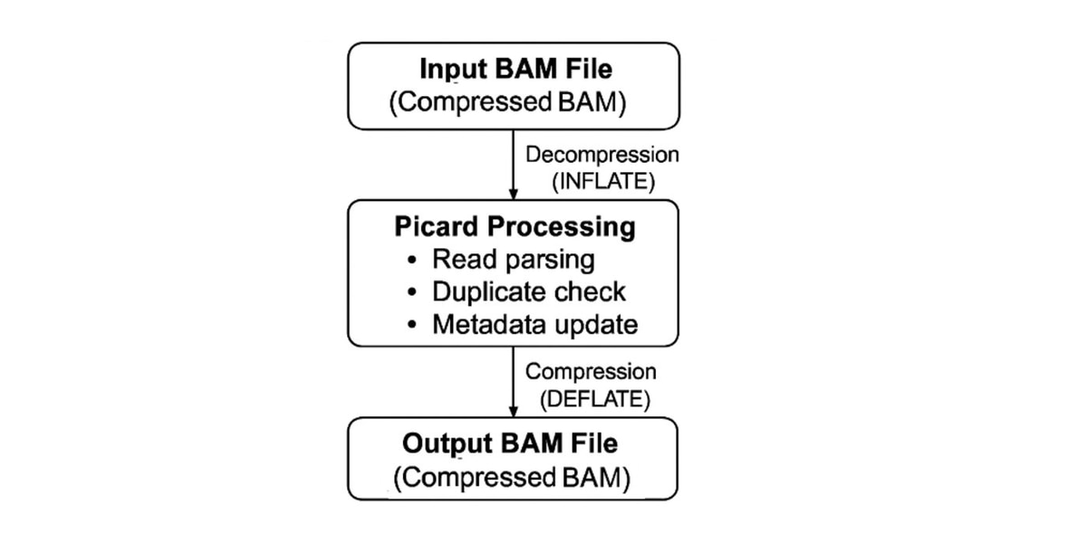 Figure. 1: High‑level overview of Picard BAM