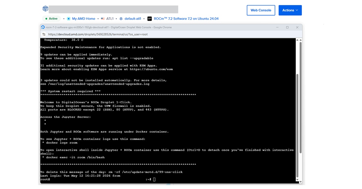 Figure 7. Web-Console based Terminal. 