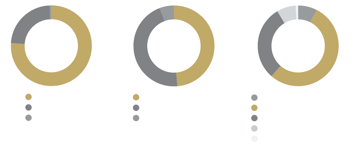 AMD workforce statistics chart