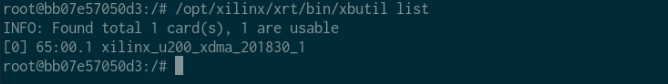 Fig 5 Interactive shell inside the Docker container