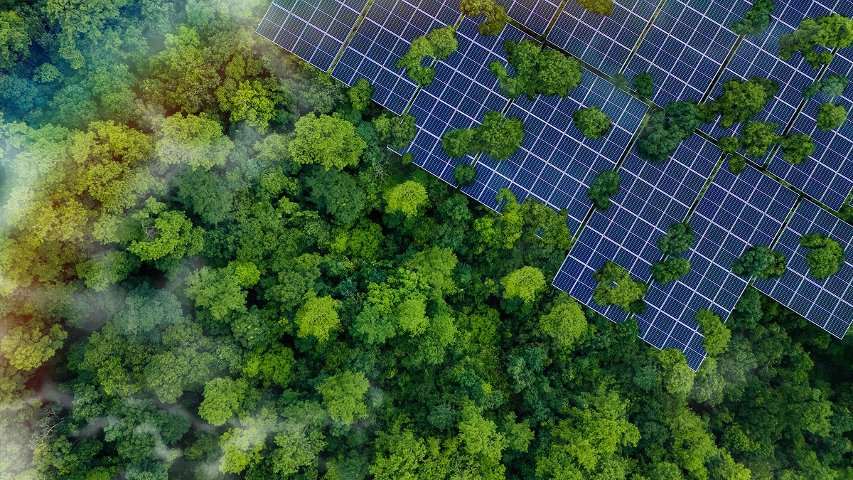 Aerial view of solar panels installed alongside a dense green forest, illustrating renewable energy and sustainability.