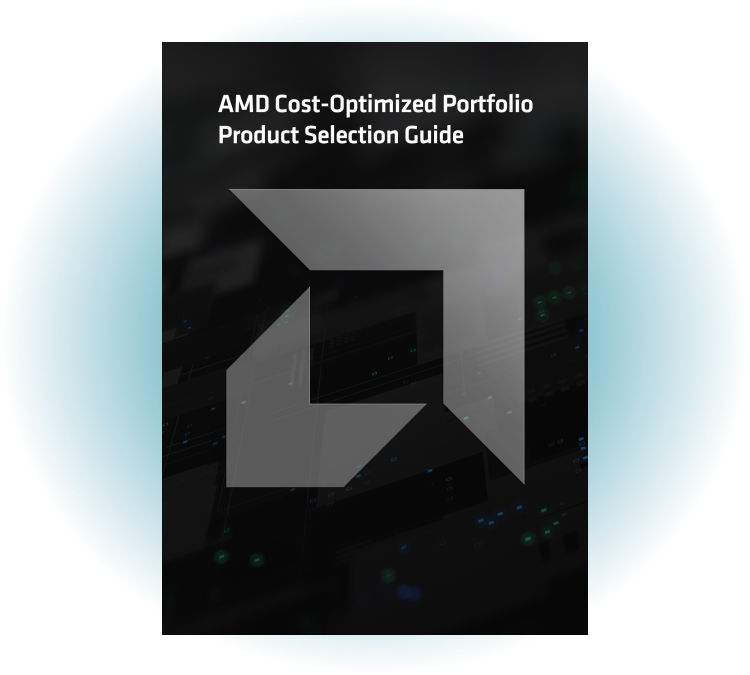 AMD Cost-Optimized Portfolio Product Selection Guide