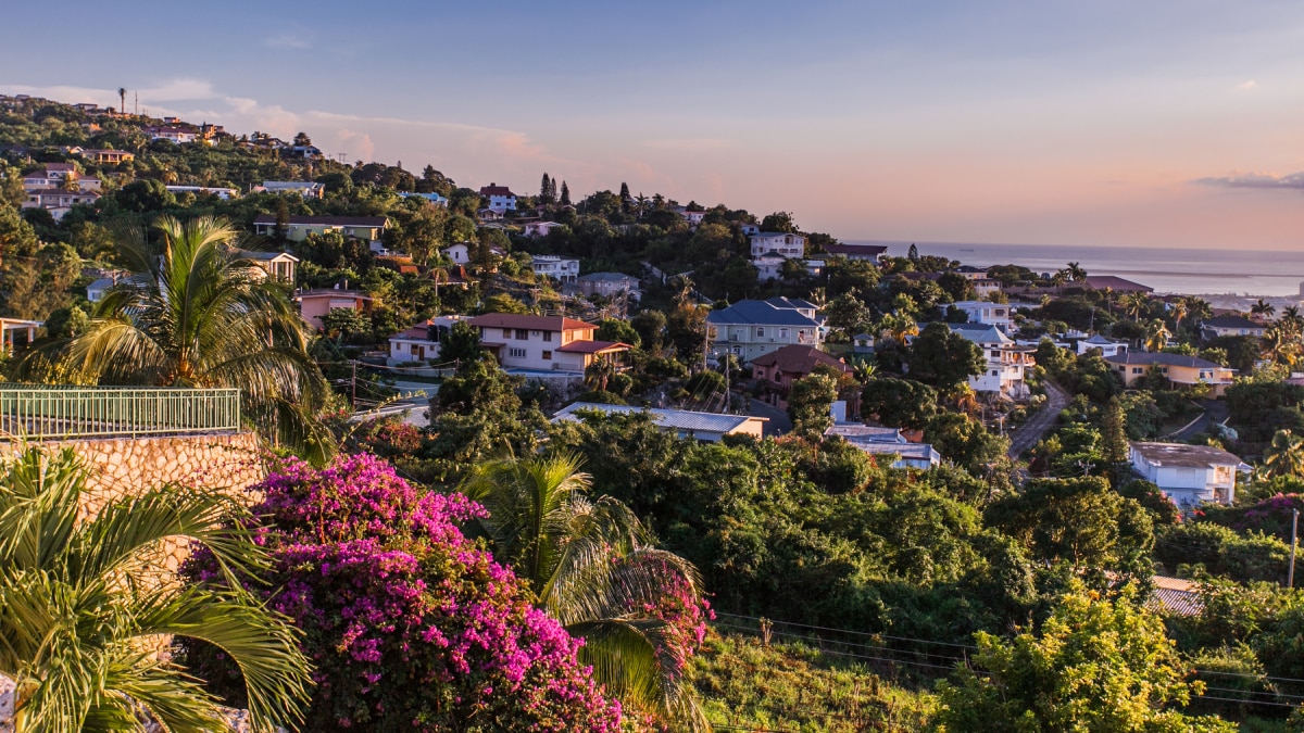 Scenic hillside view of Kingston, Jamaica with colorful houses, lush greenery, and ocean in the distance at sunset.
