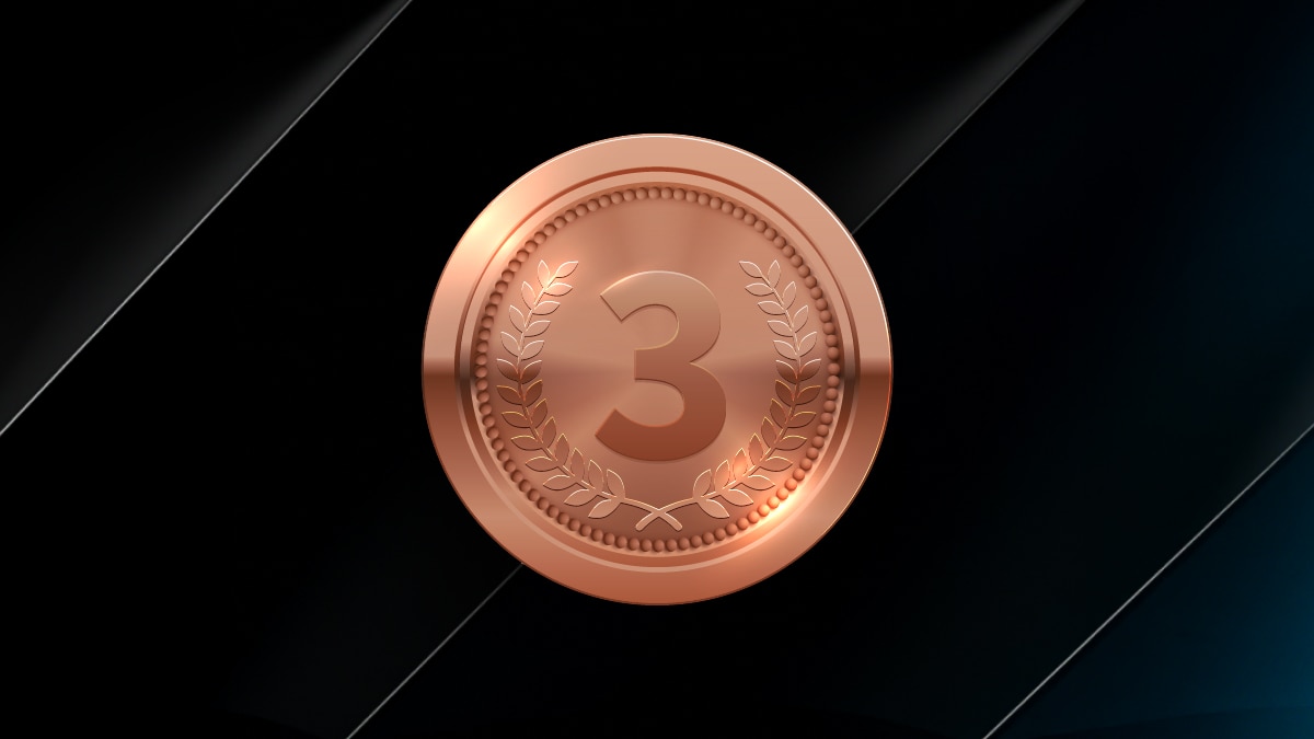 3rd Place Award