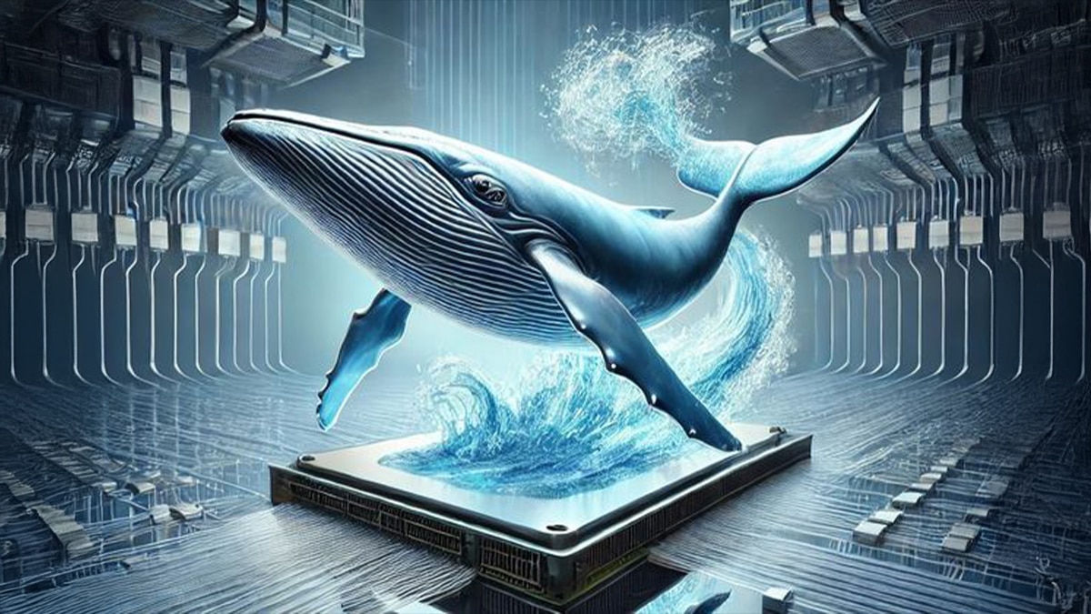 Unlock DeepSeek-R1 Inference Performance on AMD Instinct™ MI300X GPU whale blog image