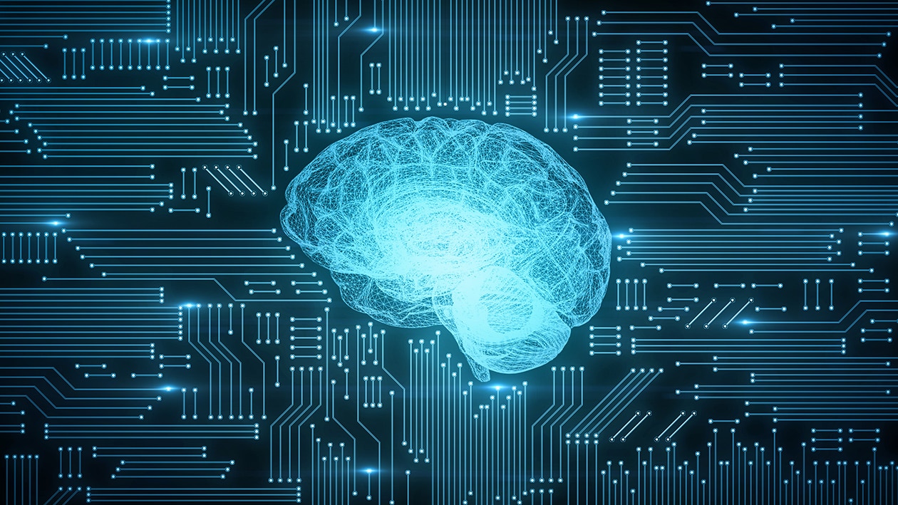Circuit board with brain