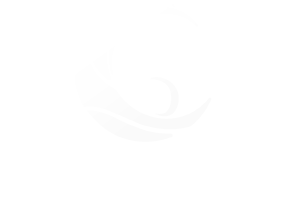 Game Garaj