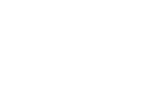 HAL3000