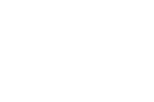 Arlt Computer