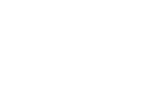 NTT System logo