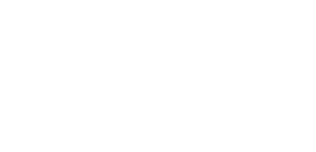 VinAi