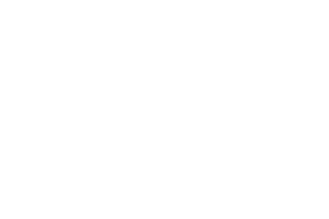Nokia Logo