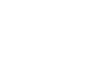 Vestas Logo