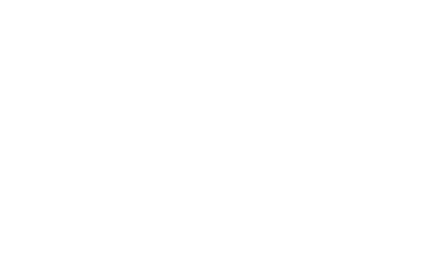 IEI Integration Corp.