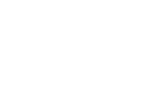 PC Specialist