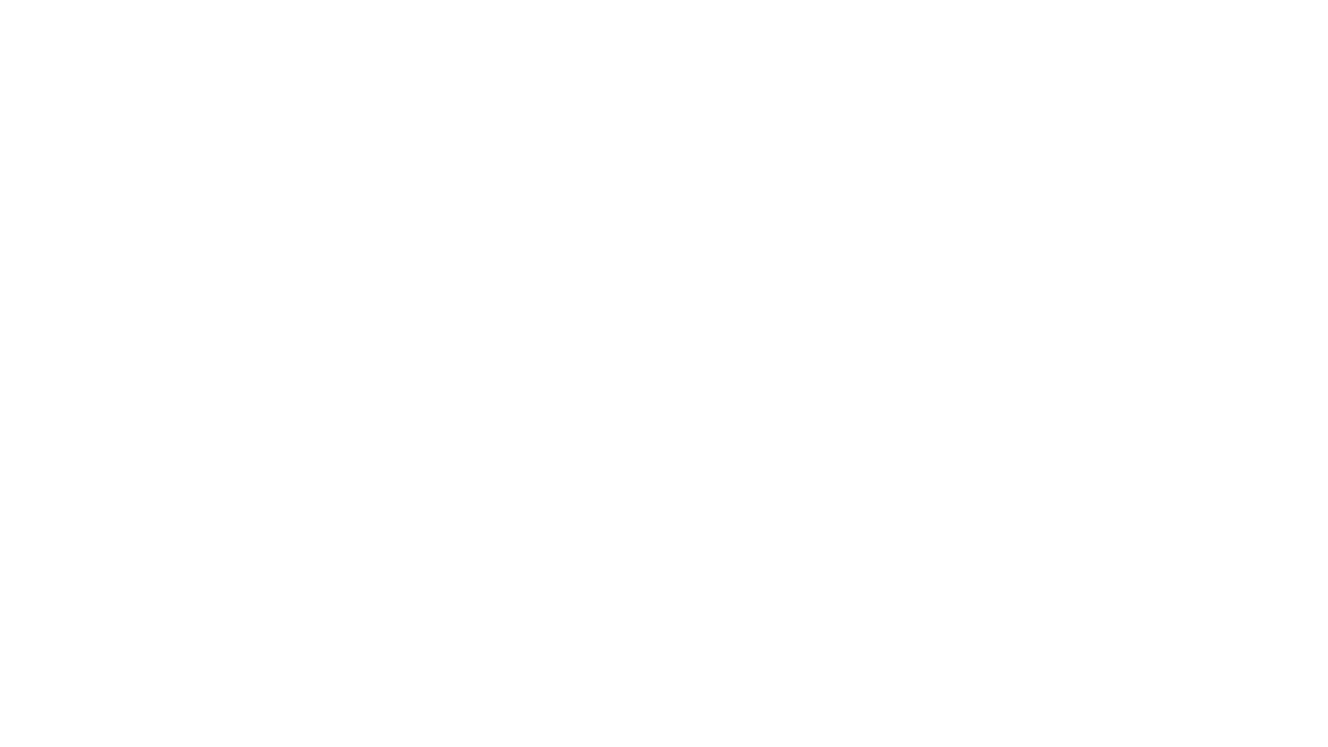 bodo logo