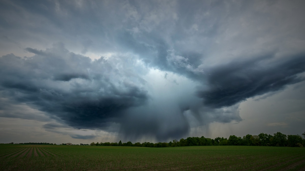 Storm in a field and rain