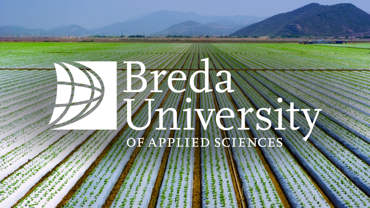 Breda University Logo