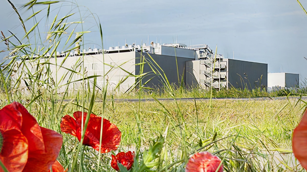Red flowers and tall grass in foreground with large industrial building and cloudy sky in background