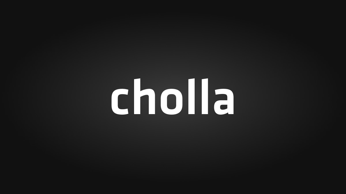 cholla logo