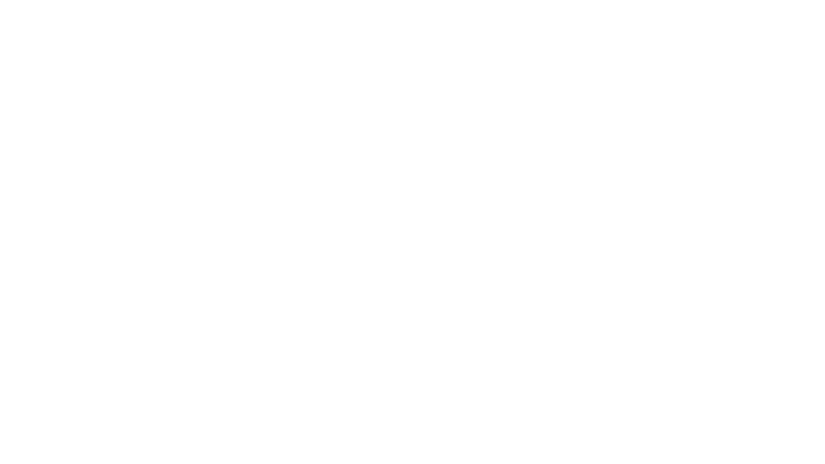 Computer Universe