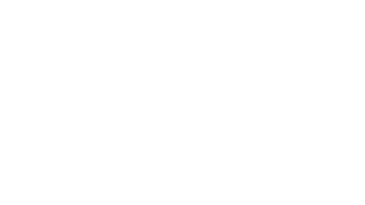 Databricks white Logo 