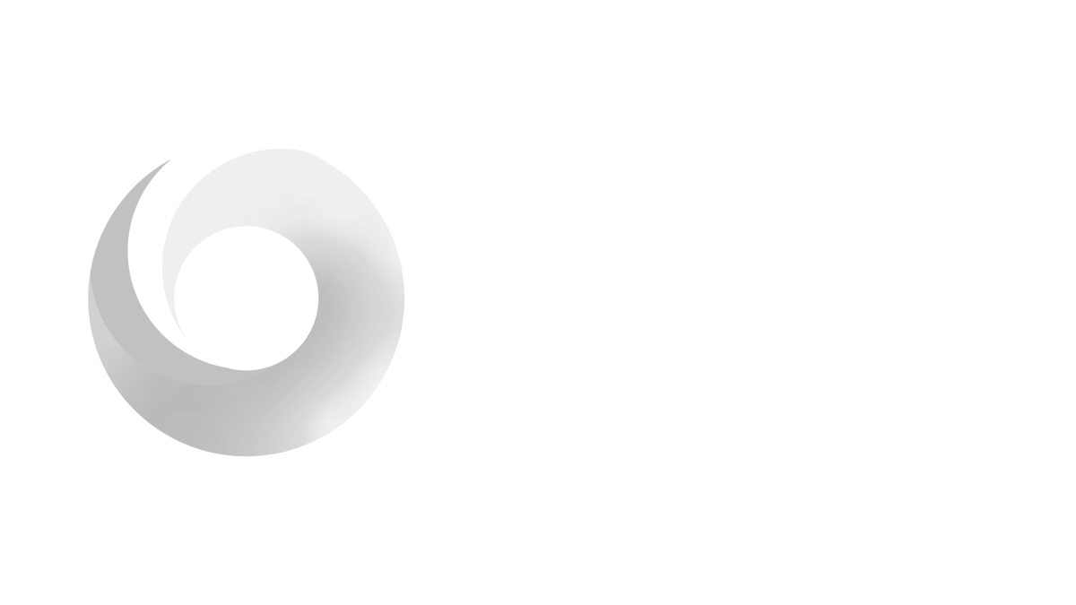 ddn logo