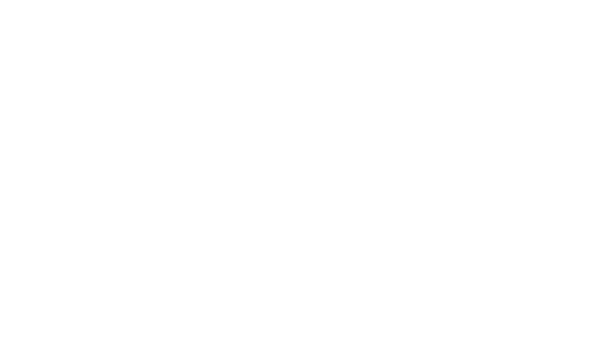 Dubaro Computer Systems white logo