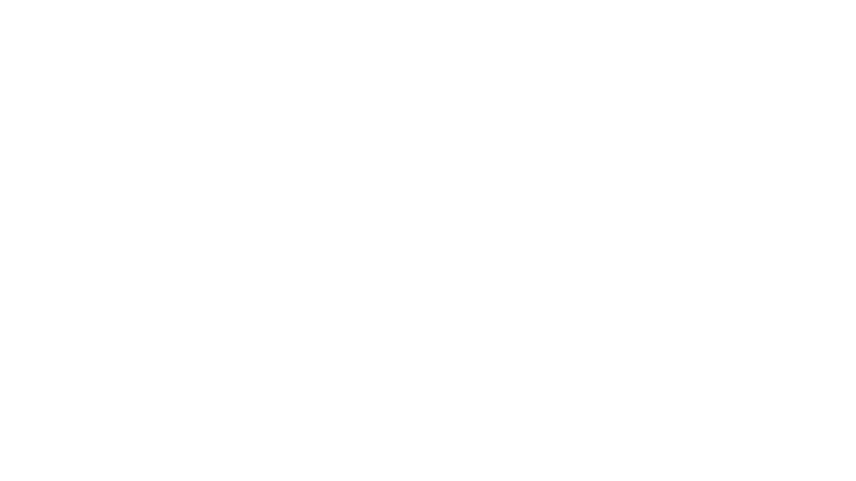 FastFlowLM Logo