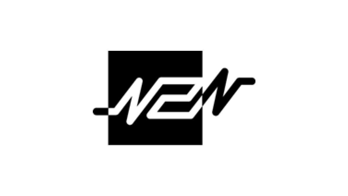 N2N logo