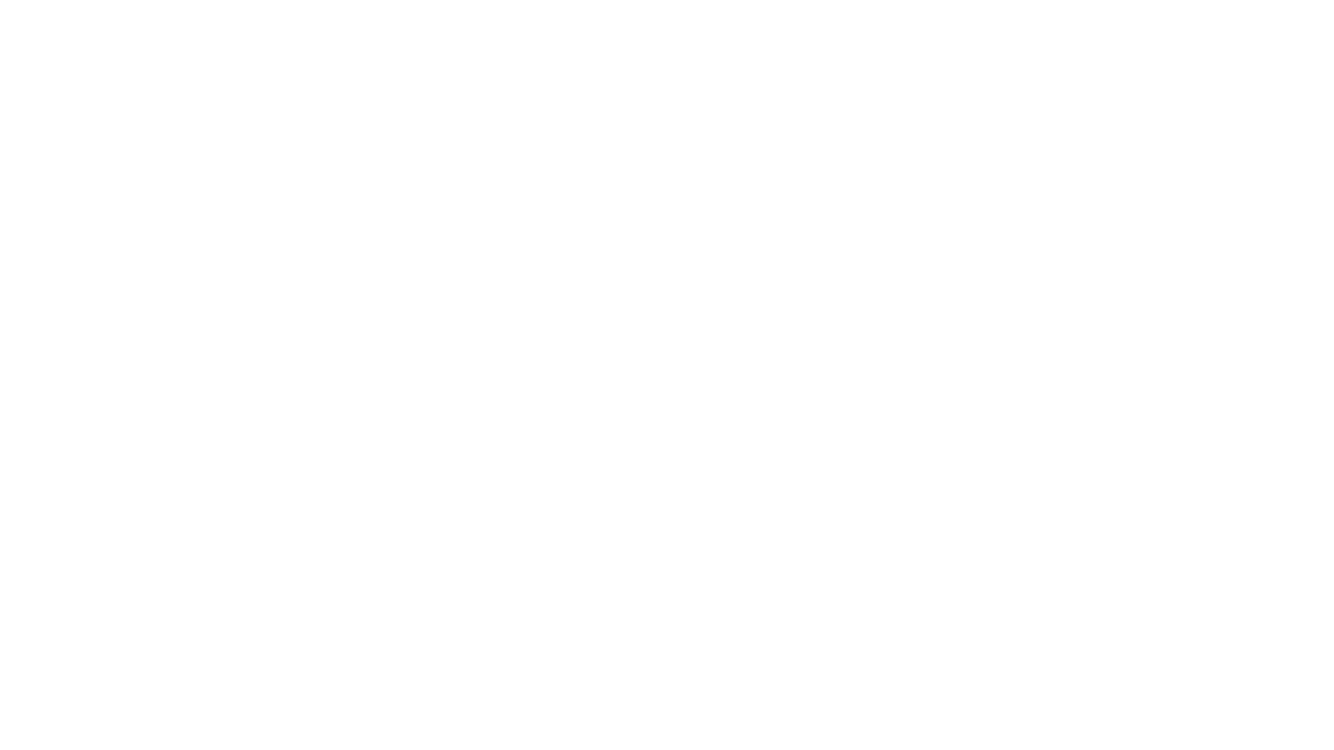 Netscout white logo