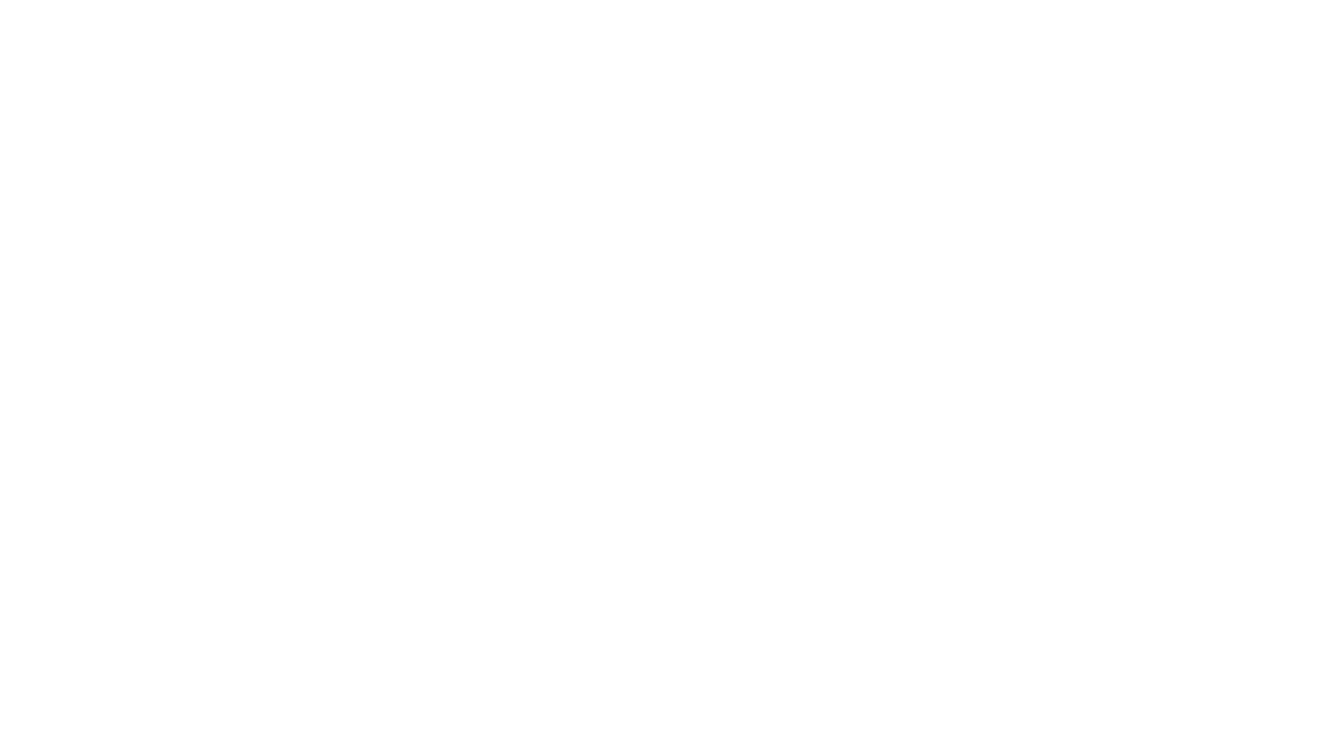PyTorch logo white