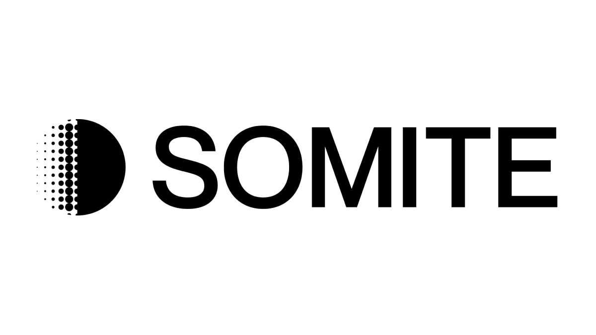 Somite