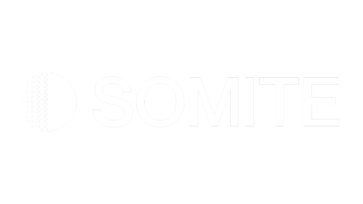 Somite logo