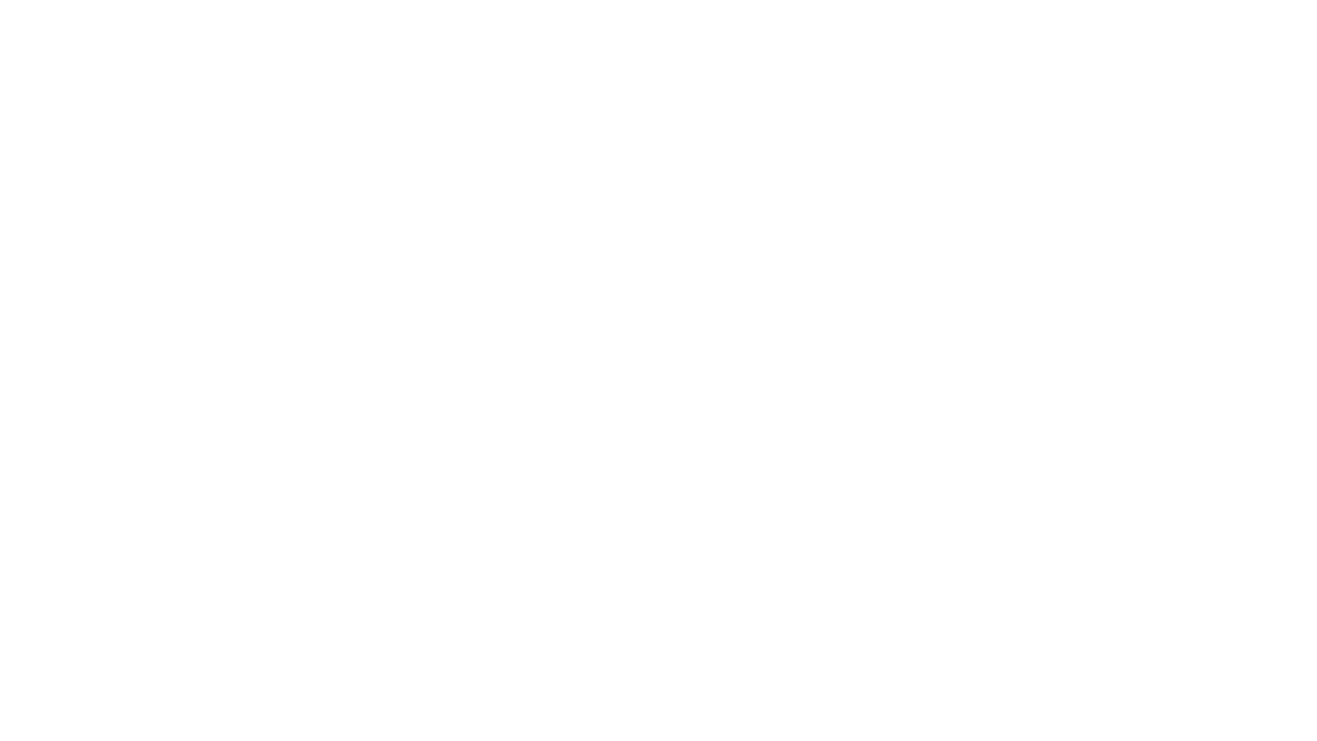 v-color logo