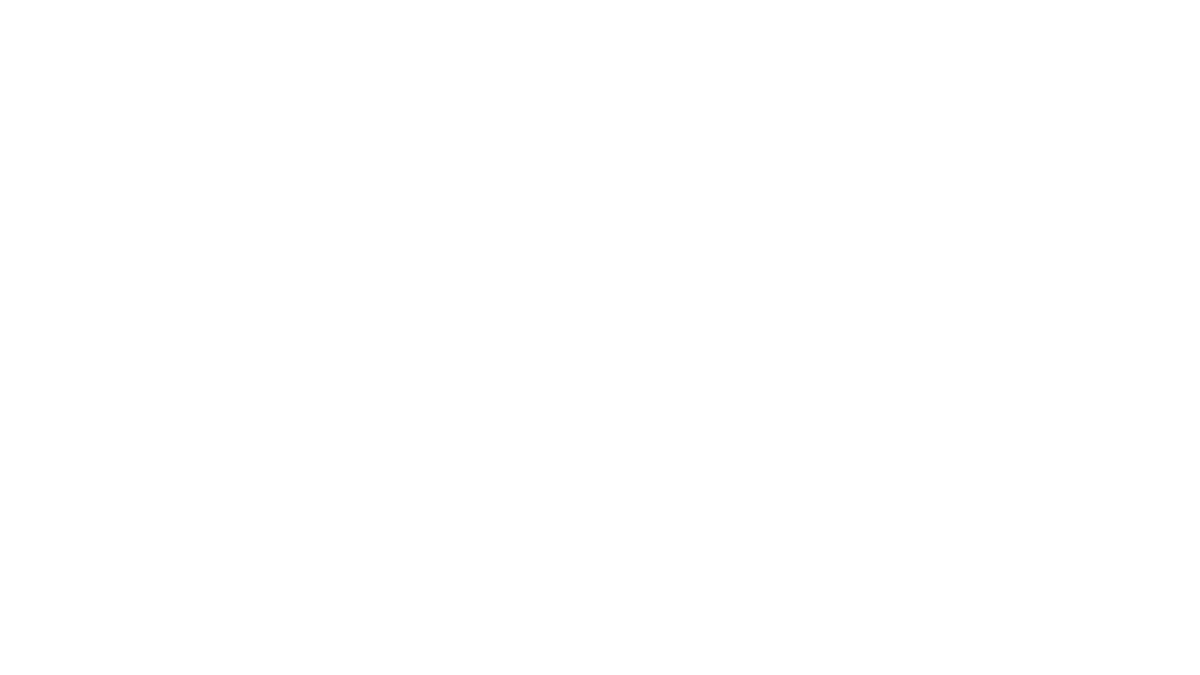 Vaidio logo