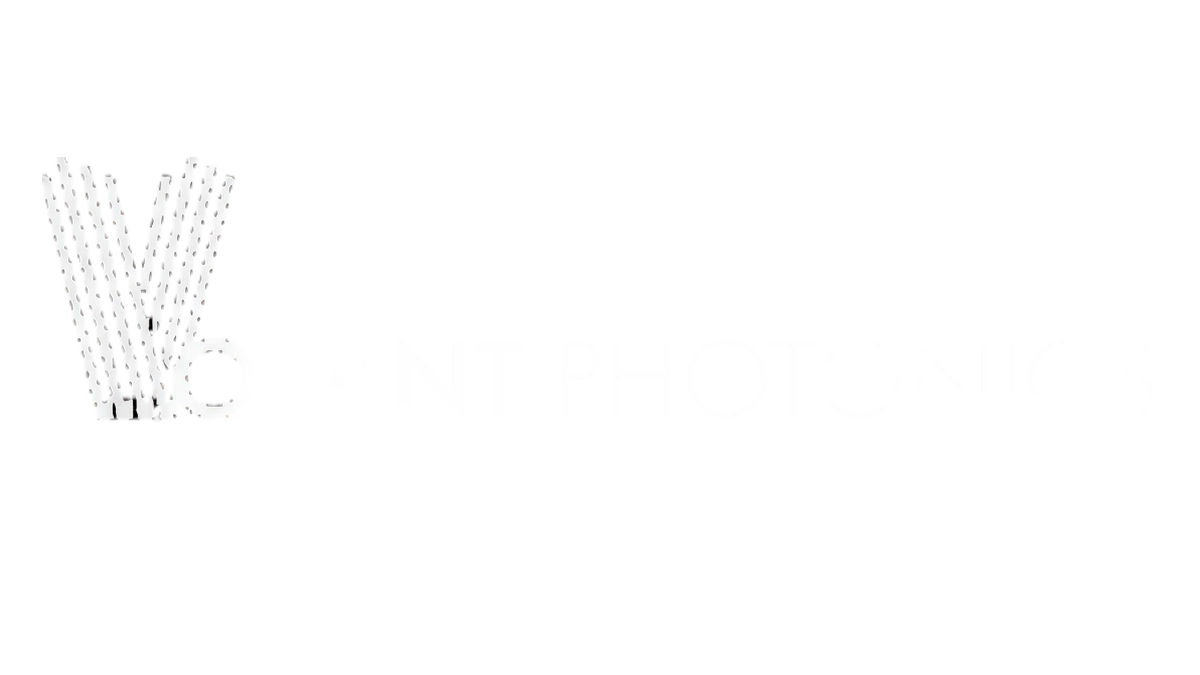 Voyant Photonics logo