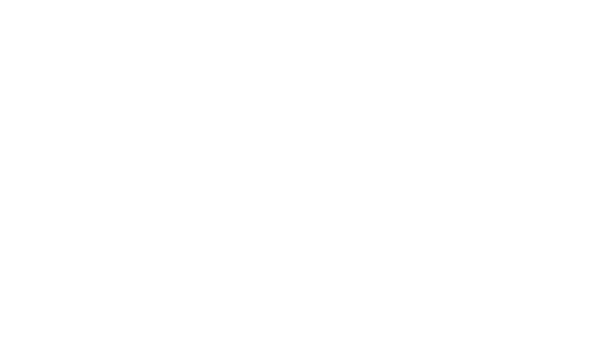 AMD Software Adrenalin Edition