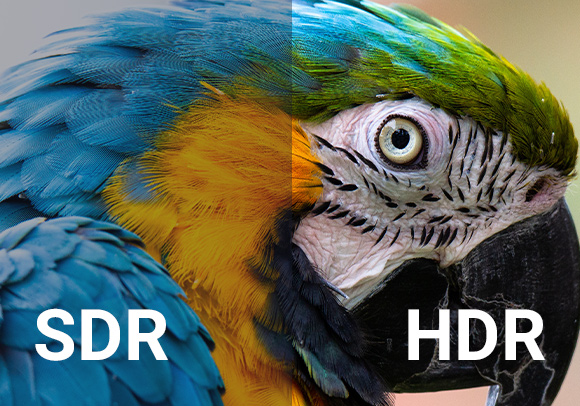 realtime-uhd-sdf-hdr.png
