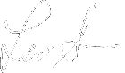 Dr. Lisa Su signature
